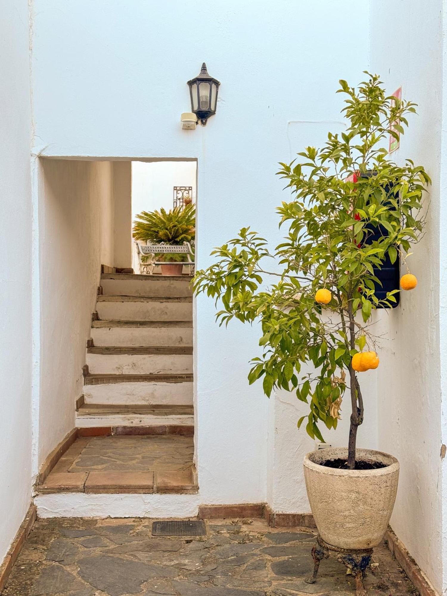 Hotel Cortijo Las Piletas Ronda Dış mekan fotoğraf